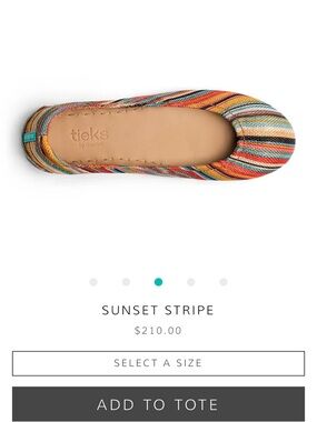 Tieks Women's Multicolor Sunset Stripe Ballet Flat